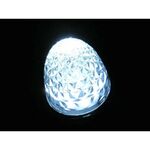 超流星 LED マーカーユニット 12V/24V 共用 ホワイト 明るさ3倍 車幅灯に　補修品2