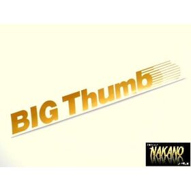 【ビックサム】車種別　ステッカー　日産ＵＤ